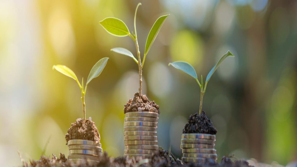 Early Capital as a Foundation for Growth